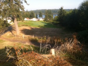 dog walk golf course