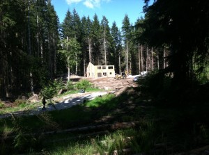 house long shot