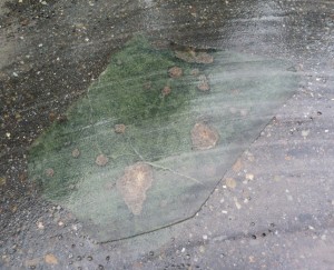 stone2