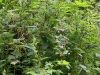 dsc02345