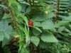 dsc02355