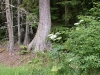 dsc02361