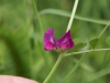dsc02369