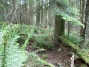 dsc02406