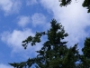 dsc02420