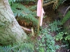 dsc02445