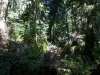 dsc02449