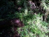 dsc02450