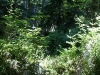 dsc02452