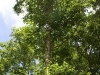 dsc02468