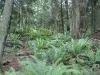 dsc02508