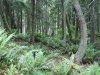 dsc02510