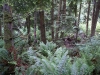 dsc02511