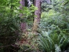 dsc02515