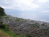 dsc02528